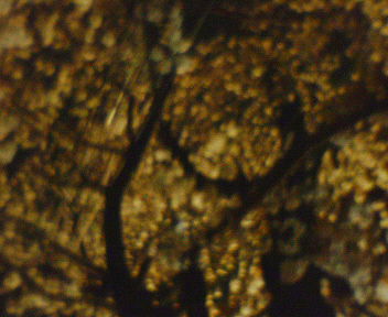 200504062331000 (3).jpg